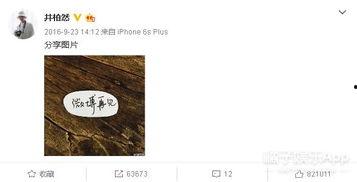 娱乐圈吃瓜感慨文案怎么写