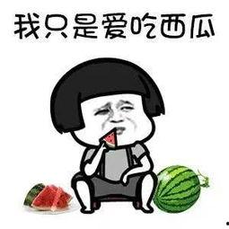 娱乐吃瓜酱考试