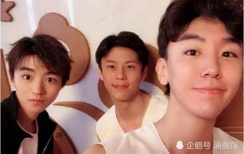 王俊凯网红小说,网红小说中的青春偶像传奇